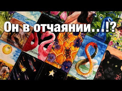 Видео: 💯%♨️ЕГО МЫСЛИ О ВАС НАКАНУНЕ ПЕРЕД СНОМ!😱С ЧЕМ ОН ЗАСЫПАЛ ВЧЕРА⁉️