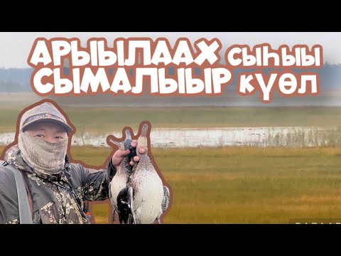 Видео: СУНТААР | КУС СЕЗОНА | АРЫЫЛААХ | СЫМАЛЫЫР