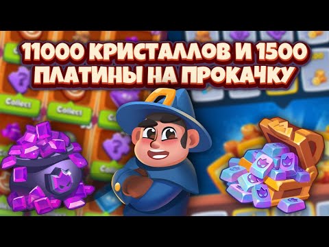 Видео: RUSH ROYALE 17.0 | Слил 2600 платины | В поисках Минотавра | Апнул 20 Мари? | Слезы донатеров