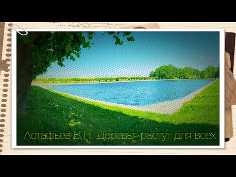 Видео: Виктор Астафьев "Деревья растут для всех"