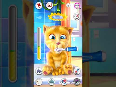 Видео: ПРАВДА ЛИ, ЧТО В ИГРЕ ГОВОРЯЩИЙ ДЖИНДЖЕР ЕСТЬ МАНЬЯК?!