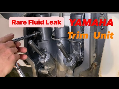 Видео: Утечка жидкости в дифферентовочном блоке Yamaha.