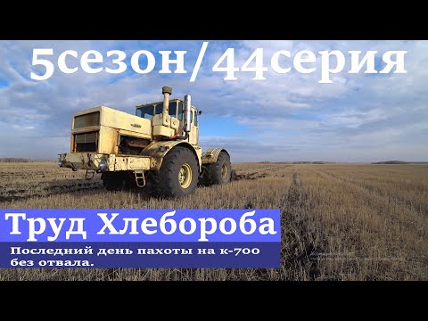 Видео: Последний день пахоты на к-700 без отвала.