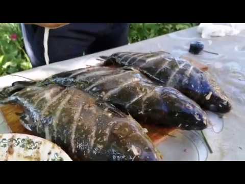 Видео: Свежепойманный линь на мангале!!!Линь на углях 😋😋😋