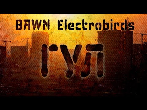 Видео: BaWN, Electrobirds - Гул [LYRIC VIDEO] | Post Punk | Doomer Music