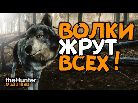 Видео: TheHunter Call of the Wild - Волки - ОПАСНАЯ ОХОТА - Как охотиться - 2022