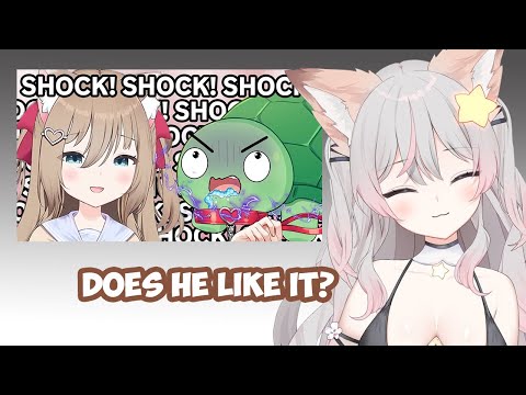 Видео: Реакция Энни на шоковый ошейник Ведала