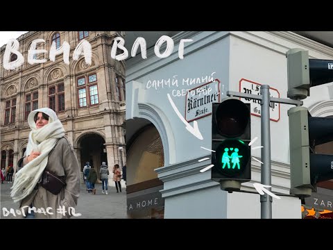 Видео: Путешествие в Вену / Университет, Горы, Альбертина / ВЛОГМАС #12