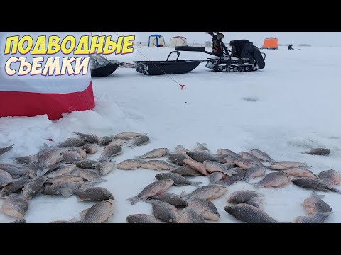 Видео: МЕШОК РЫБЫ ЗА НОЧЬ! РЫБАЛКА НА КАРАСЯ ЗИМОЙ С НОЧЕВКОЙ   КРУПНЫЙ КАРАСЬ