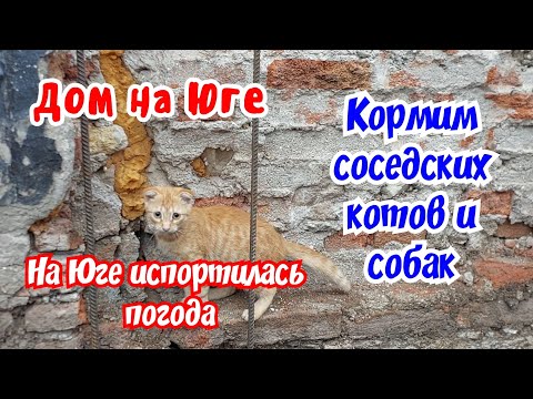 Видео: Дом на Юге. Переделываю отопление. Кормим соседских котов и собак. 