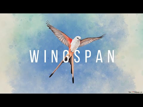 Видео: Wingspan (Крылья) - Птицы Азии