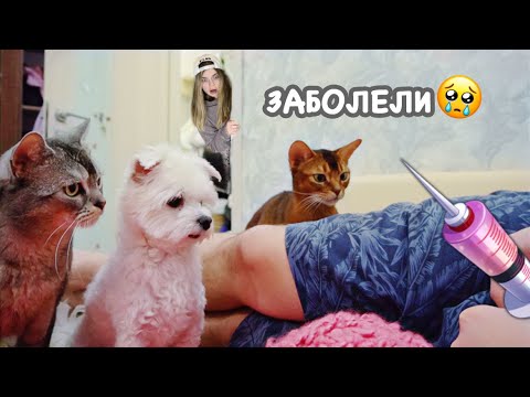 Видео: влог: БОЛЕЕМ С ДОЧКАМИ | ГОВОРЯЩИЕ КОТИКИ ВЕРНУЛИСЬ