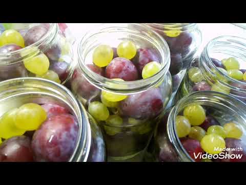 Видео: Маринованные сливы. Самые вкусные сливы на зиму в банках.
