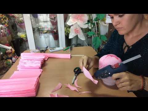 Видео: МК ПИОН ИЗ ГОФРИРОВАННОЙ БУМАГИ. СТЕБЕЛЬ. ЛИСТЬЯ