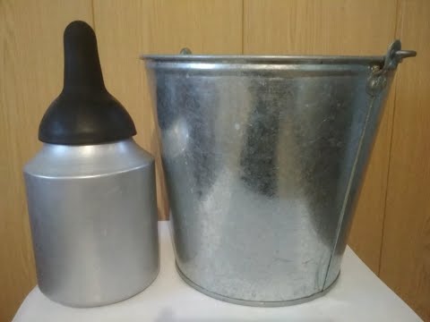 Видео: Соска или ведро, для выпойки телят.