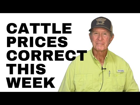 Видео: Теленок 90# принес $9,00 x фунт на этой неделе!