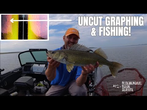 Видео: Поиск мелких судаков с помощью бокового сканирования