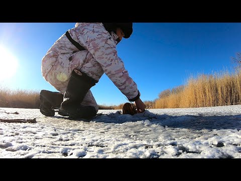 Видео: ОГО ВОТ ЭТО МОРДА ПОКАЗАЛАСЬ! Жерлицы горят! ПЕРВЫЙ ЛЕД 2023-2024!