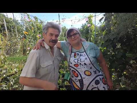 Видео: И мяса не надо! Обалденный паштет из овощей на зиму.