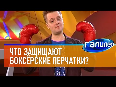 Видео: Галилео 🥊 Что защищают боксёрские перчатки?