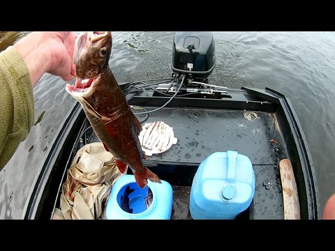 Видео: За ленком на горную речку