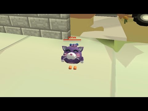 Видео: Я ПРИЮТИЛ КОТИКА В ЧИКЕН ГАН