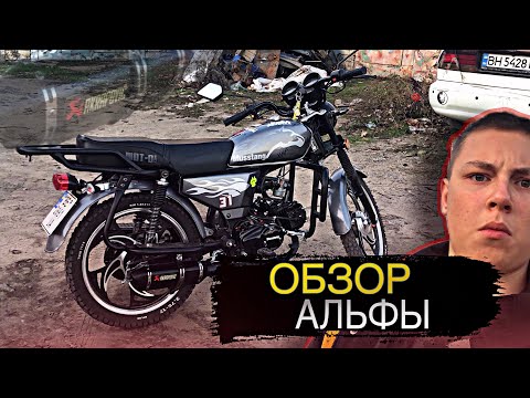 Видео: ОБЗОР МОПЕДА АЛЬФА 125 | СТОИТ ЛИ ПОКУПАТЬ МОПЕД АЛЬФА? | ПЛЮСИ И МИНУСИ АЛЬФИ | Женя Альберт 2.0