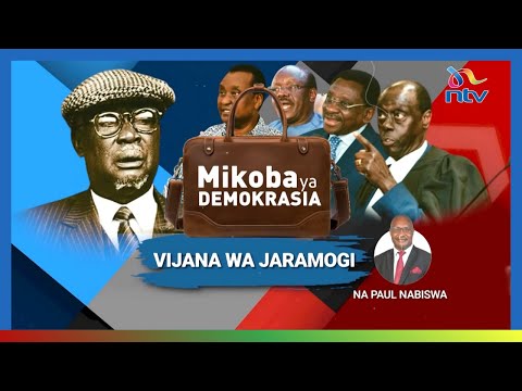 Видео: Сумки демократии: Молодежь Джарамоги