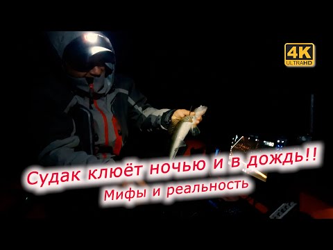 Видео: Когда лучше всего ловить судака. Вечером, ночью или утром?