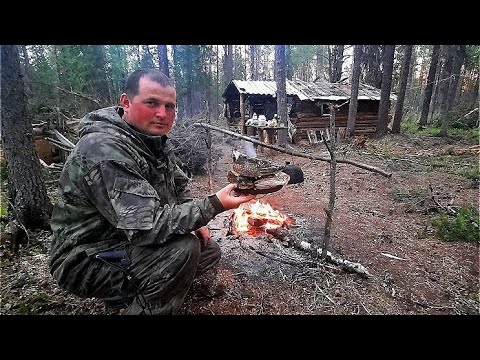 Видео: Царская уха из голов щуки. Жизнь рыбаков в тайге. Рыбалка, таёжный быт, лесная кухня, изба. 2ч.