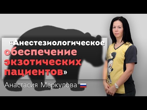 Видео: Анестезиологическое обеспечение экзотических пациентов. Клинические случаи