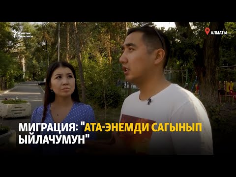 Видео: Миграция: "Ата-энемди сагынып ыйлачумун"