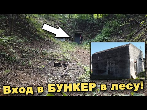 Видео: БУНКЕР в лесу! Обследование бункера Генрих Гиммлер. Часть 4. В поисках сокровищ