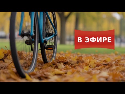 Видео: Осенний Вело Стрим в Красноуральске #велосипед #красноуральск #shorts #live