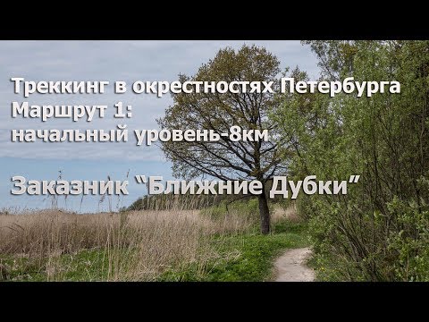 Видео: В поход по окрестностям Петербурга: заказник Ближние Дубки