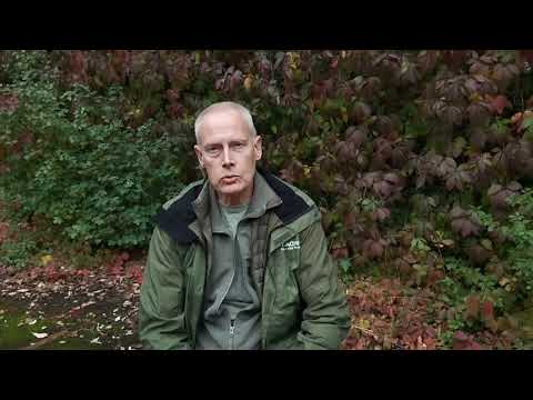 Видео: Преимущественно для умных зрителей. Ответ о смысле жизни. IMHO.