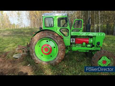 Видео: Пахота трактор т-40ам - Осенняя вспашка целины - поднимает целину - ЛТЗ 40ам - буксует - Плугом