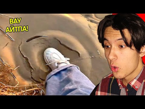 Видео: ВАУ десең ұтыласың! 😲 | РЕАКЦИЯ ләззат ВИДЕОЛАРҒА!