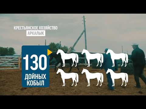 Видео: История успеха КХ "Аркалык" Нагашибай Барлубаев