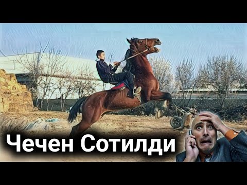 Видео: БАЙ БАЙ БУ ОТГА НИМА БУЛГАН..😱
