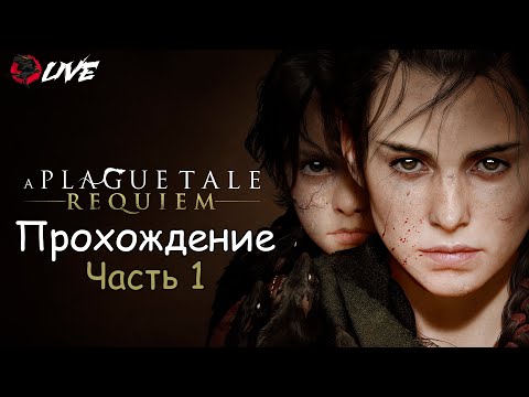 Видео: Прохождение || 2K || Часть 1 || A Plague Tale: Requiem ||