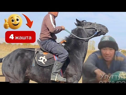 Видео: Жакшы аттын баласы жаны асый