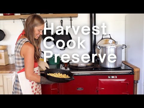 Видео: Наши простые блюда на этой неделе + легкие рецепты блюд из помидоров!