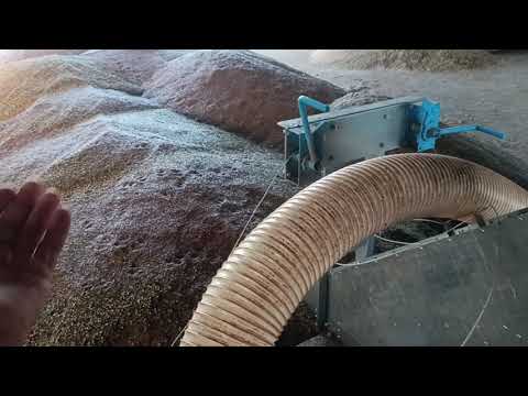 Видео: Подрабатываем лен