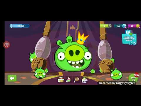 Видео: Игра плохие свинки 