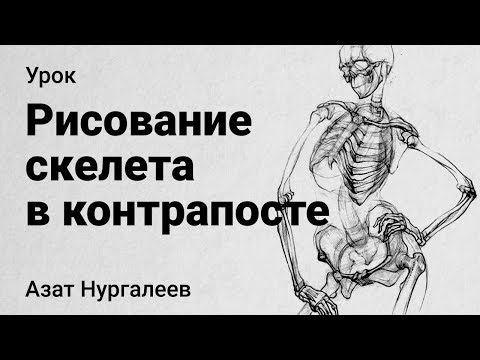 Видео: Рисуем СКЕЛЕТ ЧЕЛОВЕКА. Фронтальный ракурс (контрапост). Курс "Рисование фигуры человека"