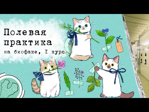 Видео: Представление о полевой практике на биофаке, 1-й курс