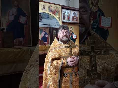 Видео: Выйди на солнце! о.Николай Начев 26.10.2025 Марсель 