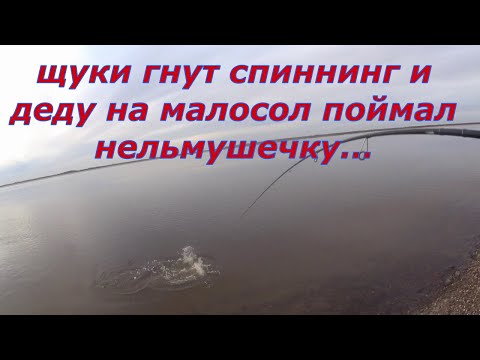 Видео: Щучье эльдорадо и Нельма для деда.