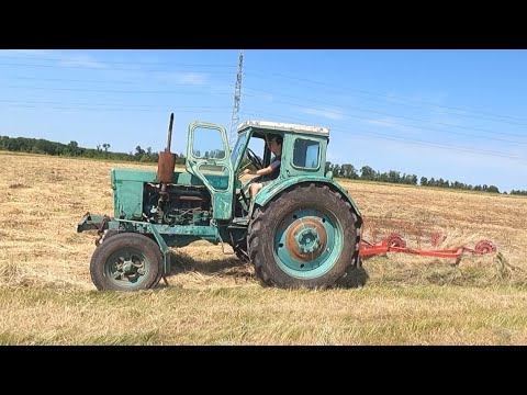 Видео: Бессмертный трудяга Трактор Т-40 !!! Молодёжь осваивает старую технику)